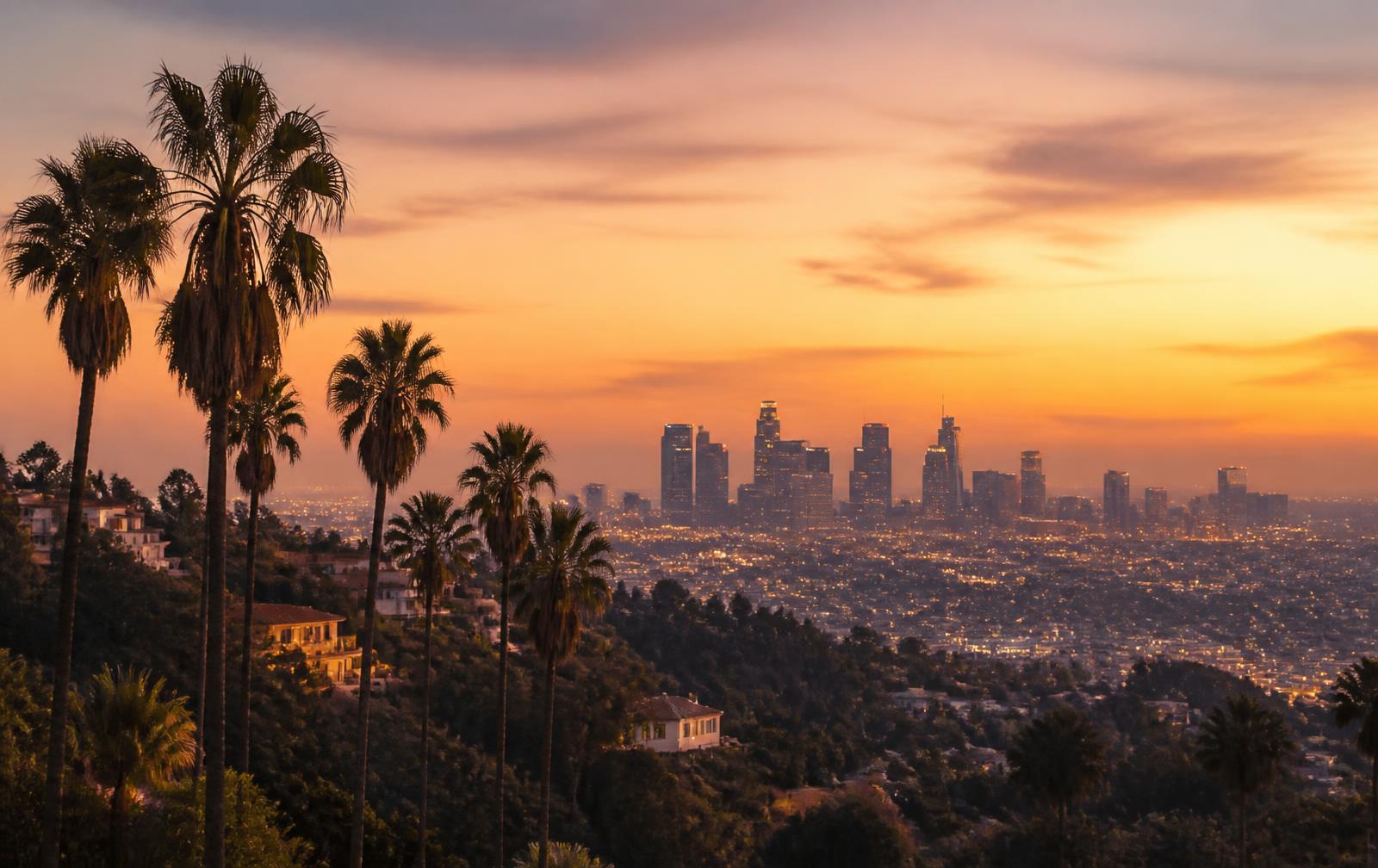 Los Angeles skyline at dusk with palm trees in the foreground